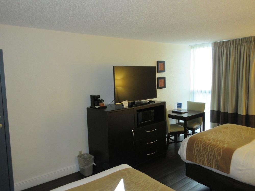 Comfort Inn Oceanside דירפילד ביץ' מראה חיצוני תמונה