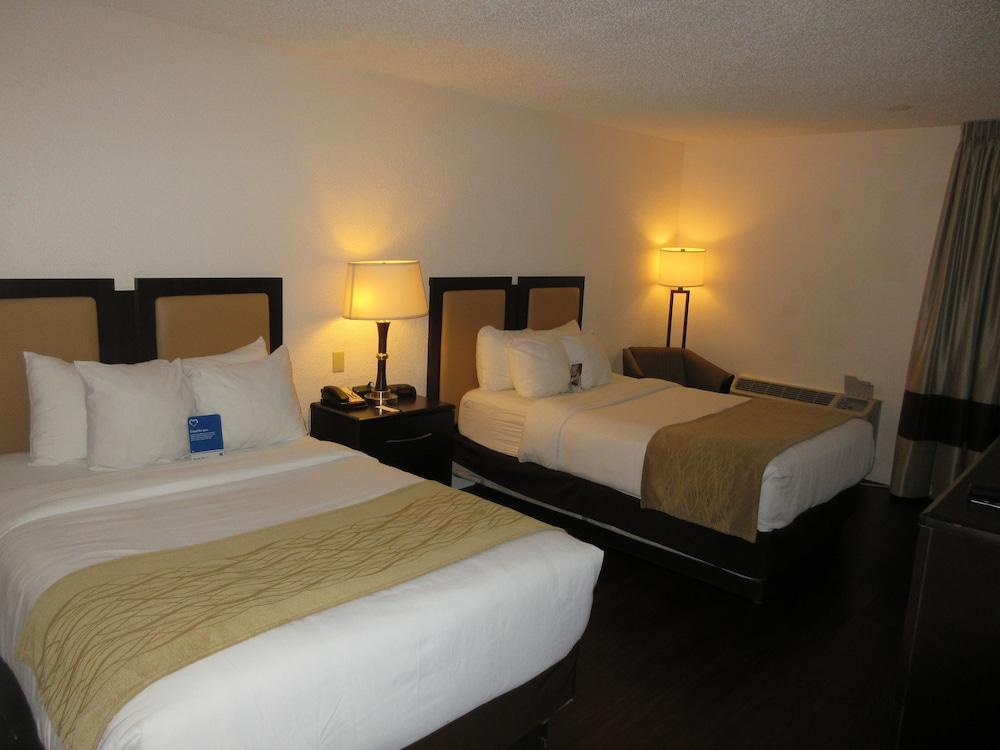 Comfort Inn Oceanside דירפילד ביץ' מראה חיצוני תמונה